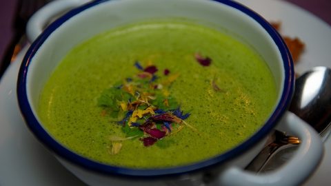 Cream of Spinach Soup: Greens Like Never Before