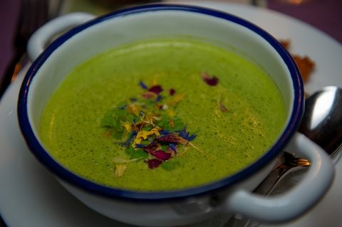Cream of Spinach Soup: Greens Like Never Before