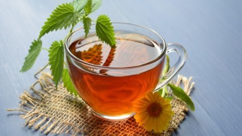Herbal Tea: A Warm Cup of Herbs to Keep PCOS Away