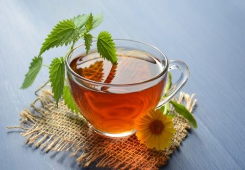 Herbal Tea: A Warm Cup of Herbs to Keep PCOS Away