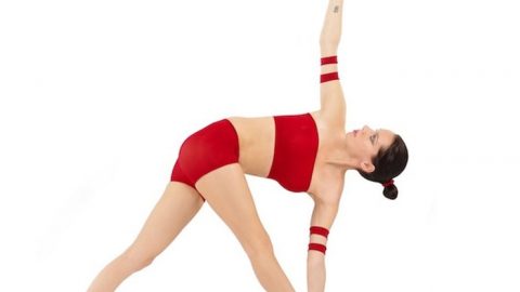 Parivrtta Trikonasana Stretch (Revolved Triangle Stretch)